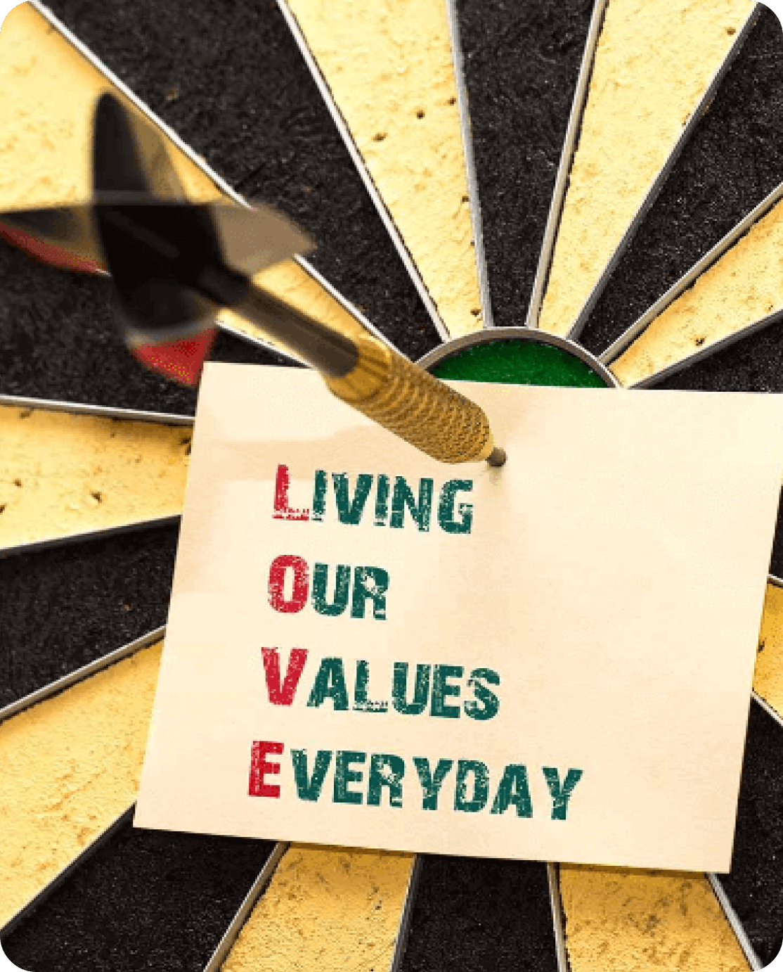 Values and goals